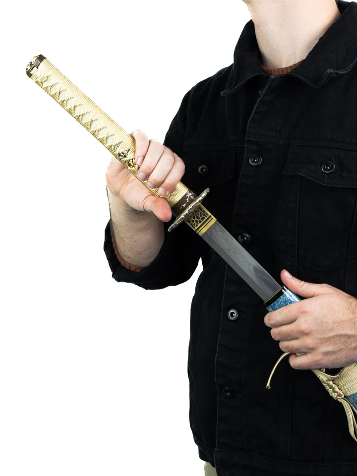 T8 Series Celestial Lion Katana - Image 4