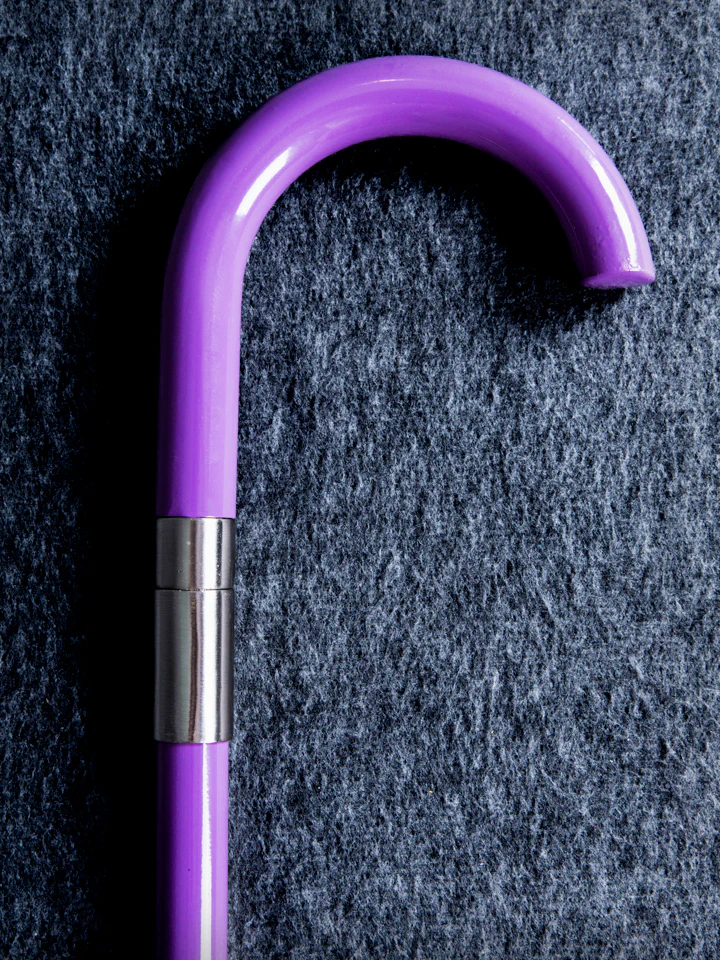 Brook's Soul Cane (METAL) - Image 2