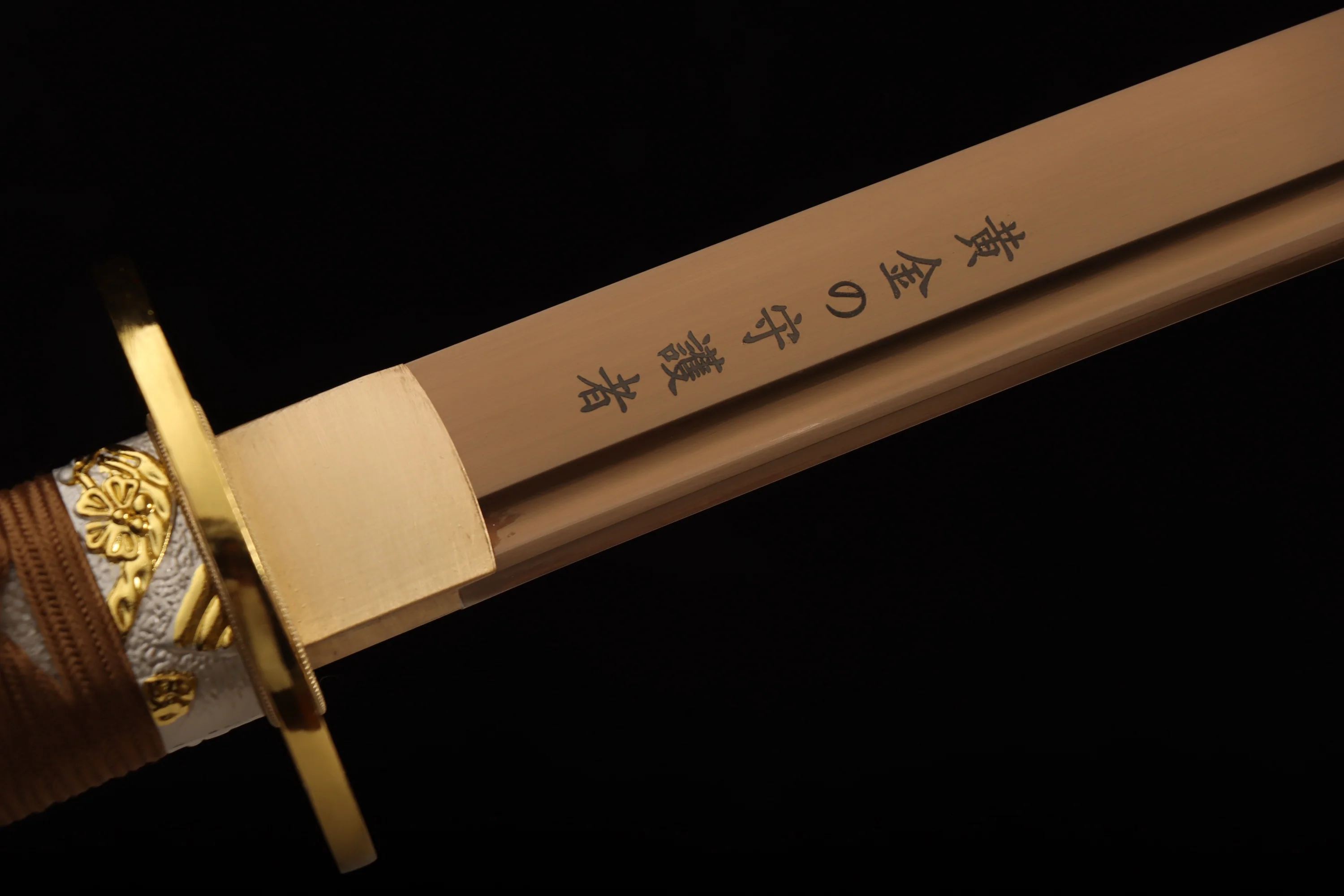 Golden guardian — CK-20260619-E0132 - Image 6