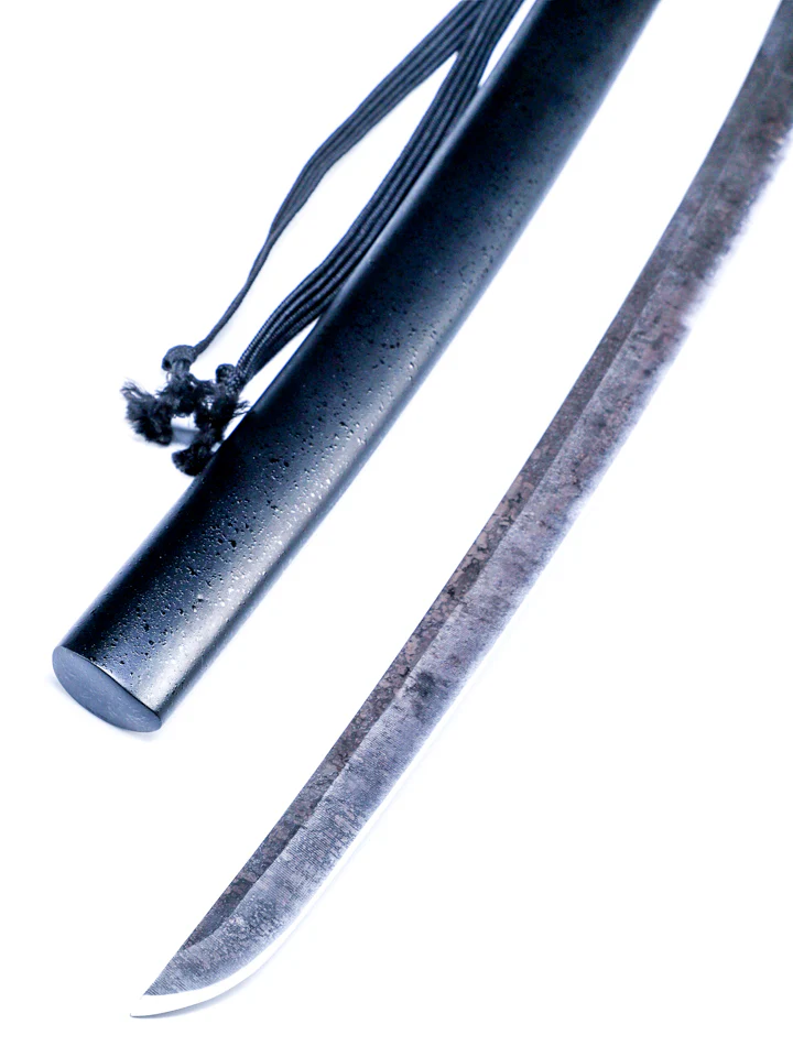Z-Series Wakizashi - Image 5
